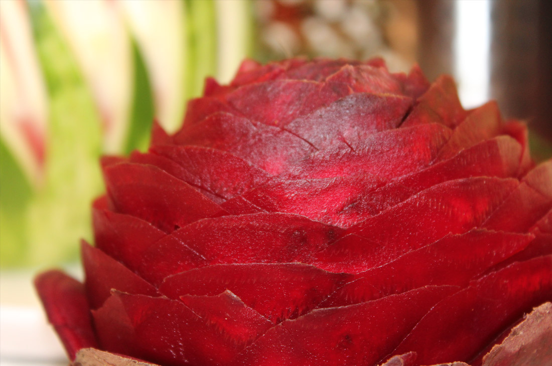 Fruit Carving by Chef Abel La Cruz